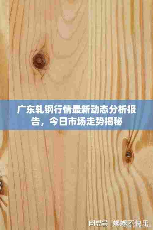广东轧钢行情最新动态分析报告，今日市场走势揭秘