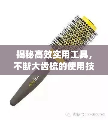 揭秘高效实用工具,不断大齿梳的使用技巧与优势