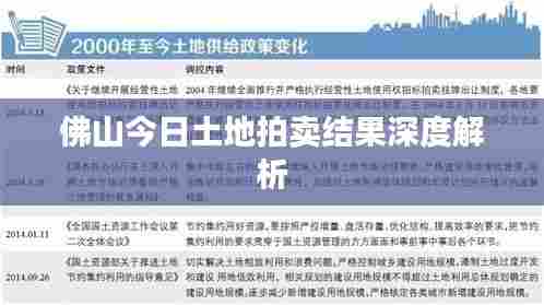 佛山今日土地拍卖结果深度解析