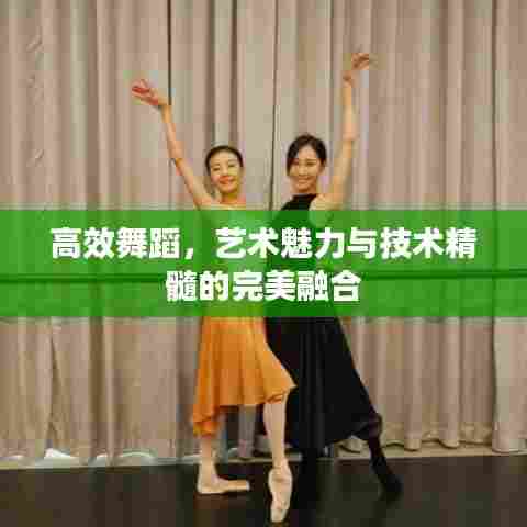 高效舞蹈,艺术魅力与技术精髓的完美融合