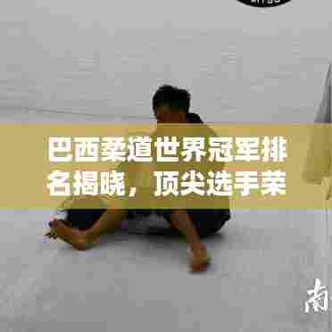 巴西柔道世界冠军排名揭晓,顶尖选手荣耀榜单
