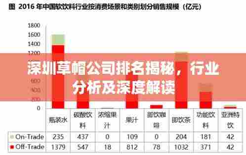深圳草帽公司排名揭秘，行业分析及深度解读