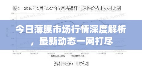 澹泊明志 第5页