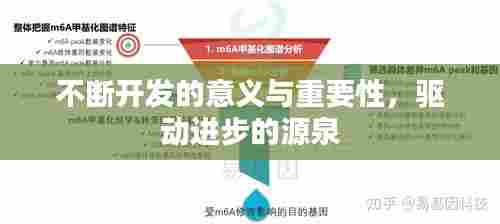 不断开发的意义与重要性,驱动进步的源泉
