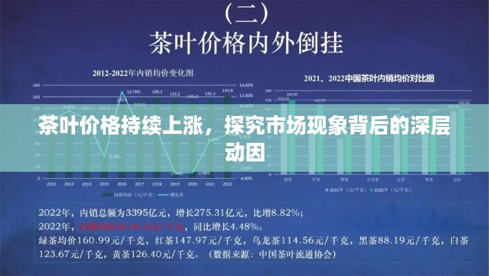 茶叶价格持续上涨，探究市场现象背后的深层动因