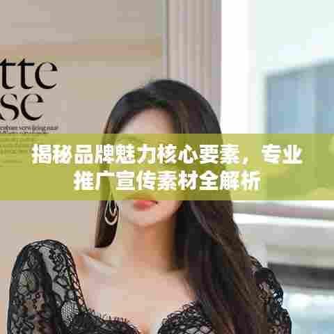 揭秘品牌魅力核心要素，专业推广宣传素材全解析