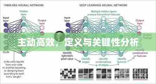 主动高效,定义与关键性分析