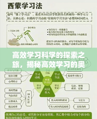高效学习科学的探索之旅,揭秘高效学习的奥秘