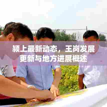 颍上最新动态，王岗发展更新与地方进展概述