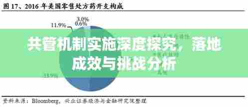共管机制实施深度探究，落地成效与挑战分析