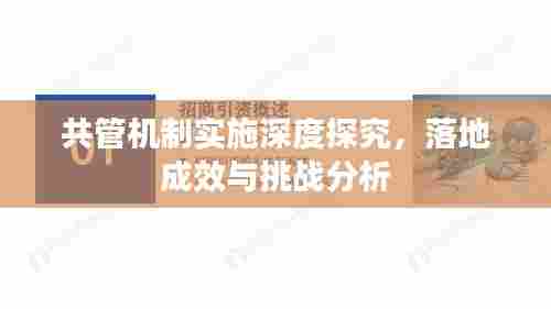 共管机制实施深度探究,落地成效与挑战分析