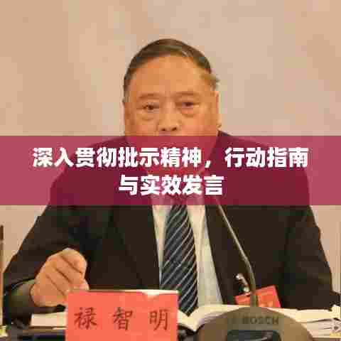 深入贯彻批示精神,行动指南与实效发言