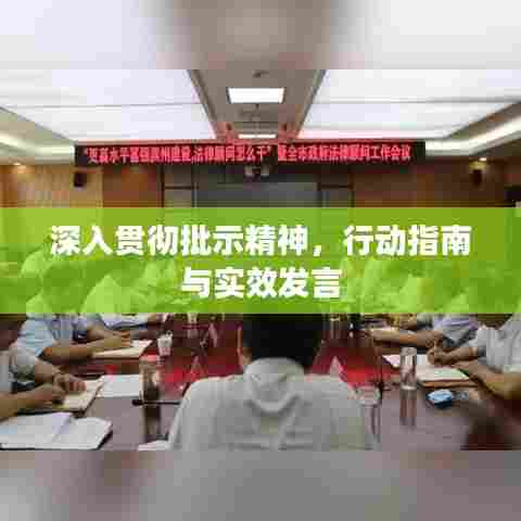 深入贯彻批示精神,行动指南与实效发言
