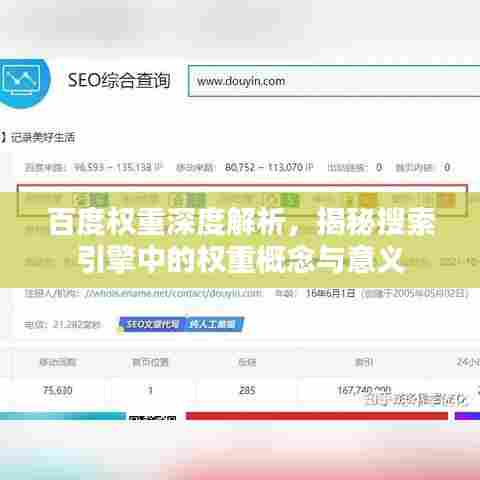 百度权重深度解析，揭秘搜索引擎中的权重概念与意义