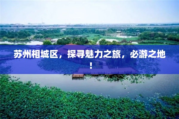 苏州相城区,探寻魅力之旅,必游之地!