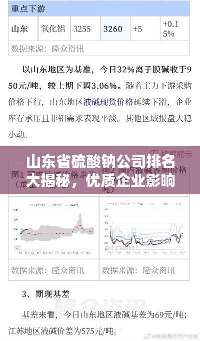 山东省硫酸钠公司排名大揭秘，优质企业影响力分析