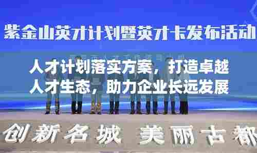 人才计划落实方案,打造卓越人才生态,助力企业长远发展