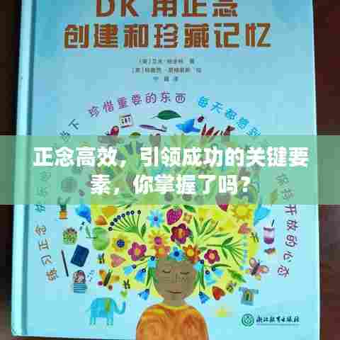 正念高效，引领成功的关键要素，你掌握了吗？
