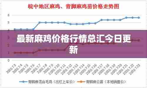 最新麻鸡价格行情总汇今日更新