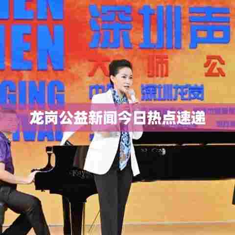 龙岗公益新闻今日热点速递