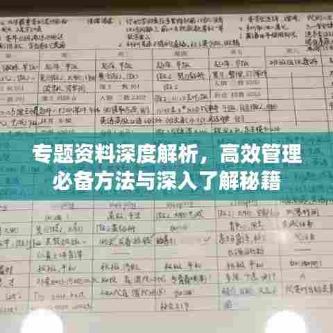 专题资料深度解析,高效管理必备方法与深入了解秘籍