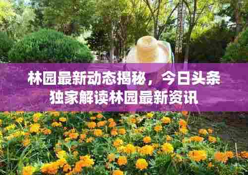 林园最新动态揭秘,今日头条独家解读林园最新资讯