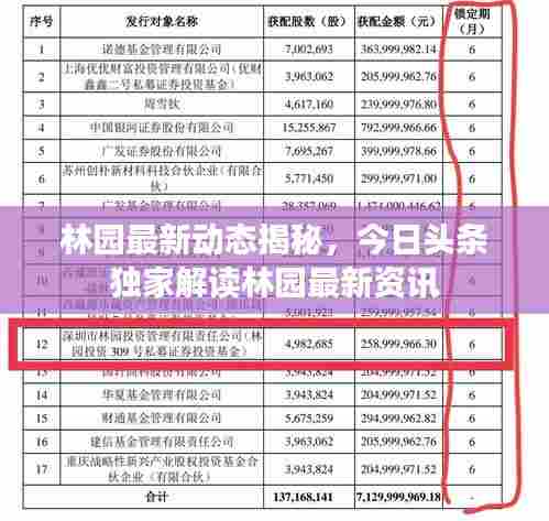 林园最新动态揭秘,今日头条独家解读林园最新资讯