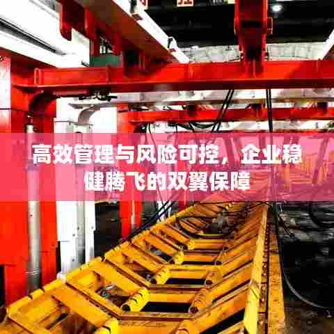 高效管理与风险可控,企业稳健腾飞的双翼保障