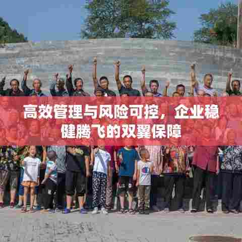 高效管理与风险可控,企业稳健腾飞的双翼保障