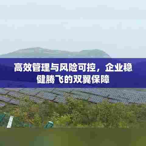 高效管理与风险可控,企业稳健腾飞的双翼保障