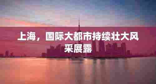 上海，国际大都市持续壮大风采展露