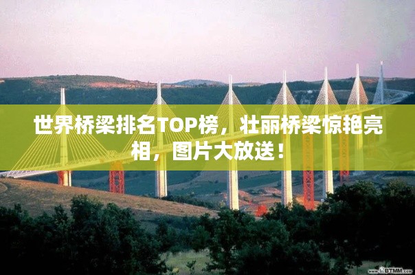 世界桥梁排名TOP榜，壮丽桥梁惊艳亮相，图片大放送！