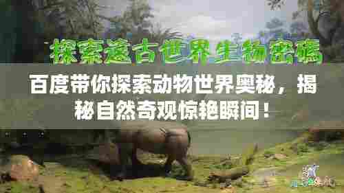 百度带你探索动物世界奥秘,揭秘自然奇观惊艳瞬间!