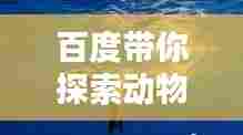 百度带你探索动物世界奥秘,揭秘自然奇观惊艳瞬间!
