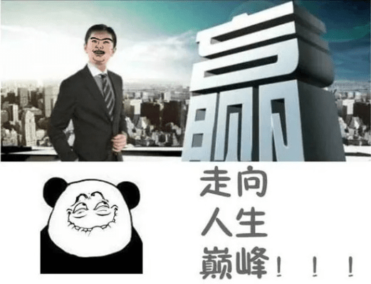 走向人生巅峰各种版本,实效性策略解析-豪华版_v4.978