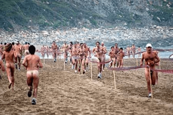 裸奔版本,精细解析评估|特供版1_v4.996