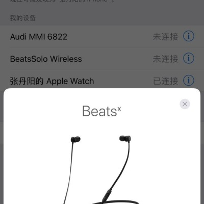 beatsX蓝牙版本,精细计划化执行 FT_v6.481