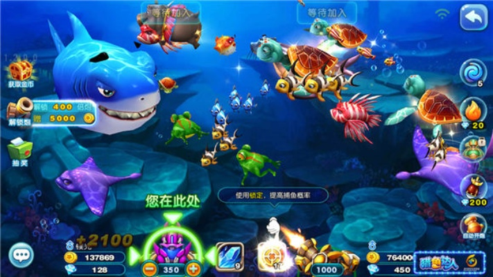 猎鱼达人最新版本,专业说明评估-WP1_v7.347