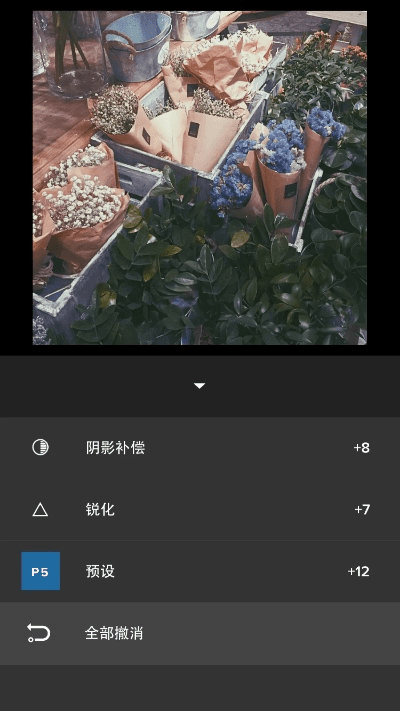 vsco旧版本下载,实地验证设计方案 T_v9.977