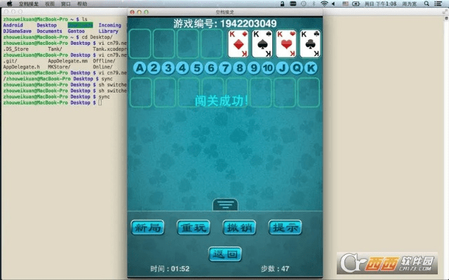 空挡接龙官方下载,实地数据分析计划&游戏版_v9.355