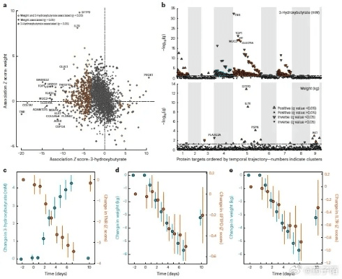 宾阳吧官方下载,科学分析解释定义 模拟版1_v2.309