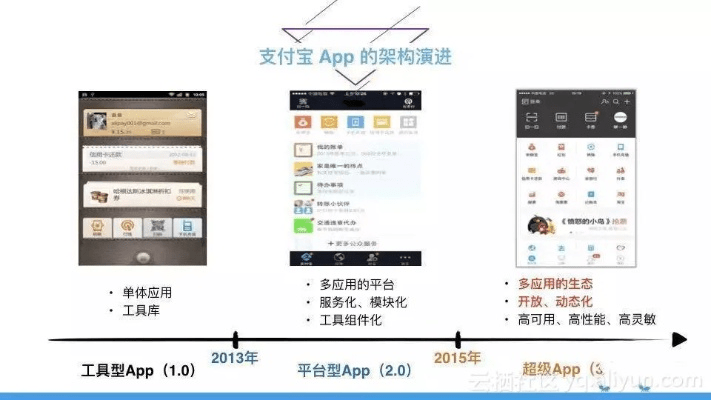 专业级工具解析，支付宝下载旧版本v9.505，实效设计计划解析_完整版