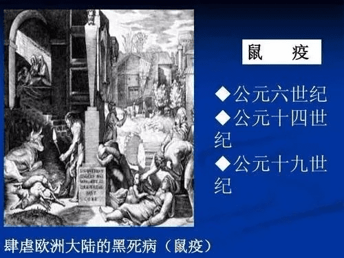 鼠疫 版本,数据解析计划导向&视频版_v4.434