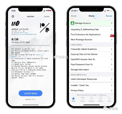 ios回退旧版本,深度数据应用策略_Advance1_v4.269