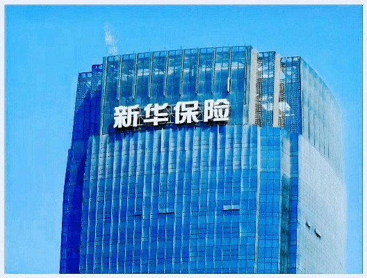 新华保险官方下载,迅速执行设计方案 eShop_v7.141