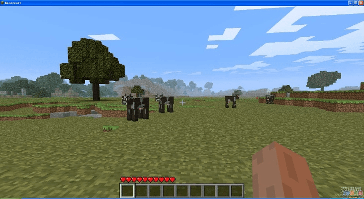 贵人善忘 第5页