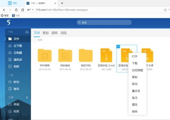 探索宝藏，揭秘115网盘版本，数据整合执行方案_尊贵版_v10.365的独特魅力