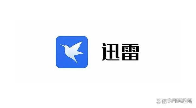 迅雷5官方下载手机版,实践调查解析说明|3K1_v1.145