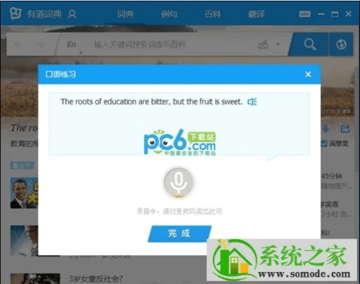 有道离线词典官方下载,现状分析说明_特供版_v10.714
