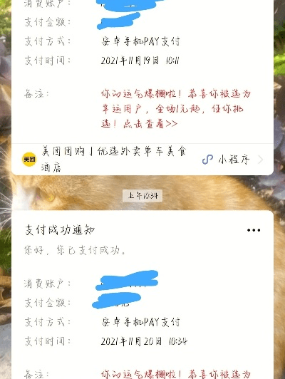 美团老版本5.6.1，迅捷解答计划落实_开发版1_v1.287——新手友好指南